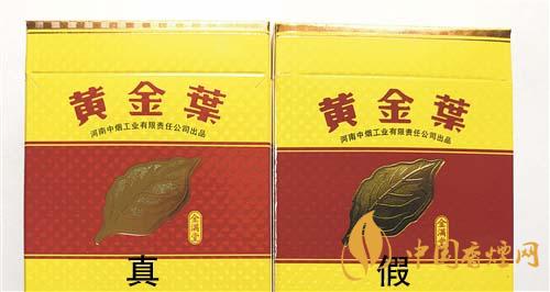 如何辨別黃金葉金滿堂真假？2020黃金葉真假辨別詳情對比