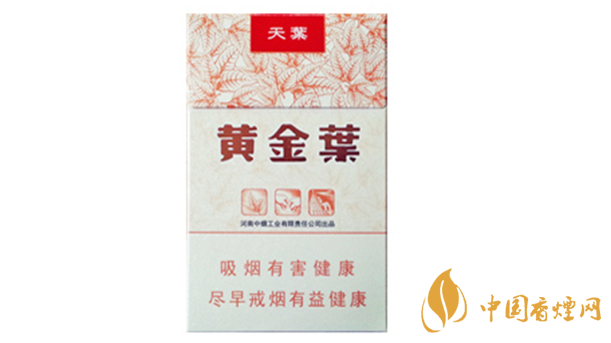 黃金葉天葉真?zhèn)卧趺幢鎰e？天葉真假如何看？