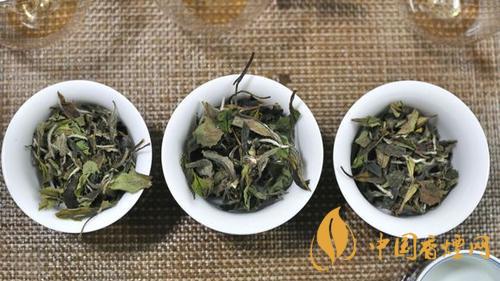 南山壽眉屬于什么茶類(lèi) 南山壽眉功效最新介紹