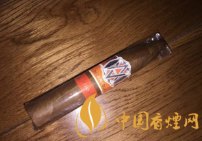Avo Syncro Nicaragua Fogata Short Torpedo雪茄參數(shù)及口感介紹