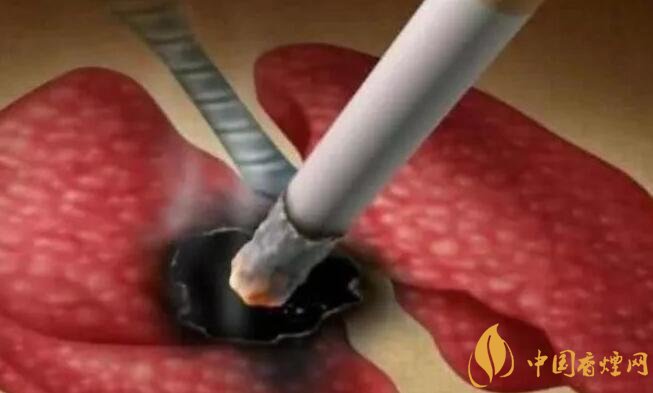 香煙對(duì)身體的危害究竟有多大 人體一天最多承受五口香煙的危害