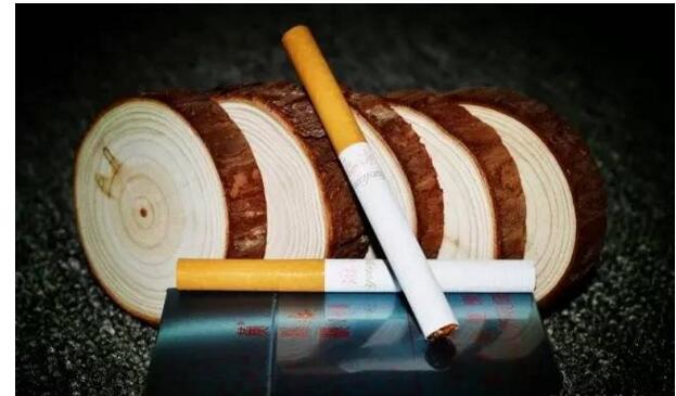 黃鶴樓游泳回歸，爺爺輩最喜愛的香煙品牌