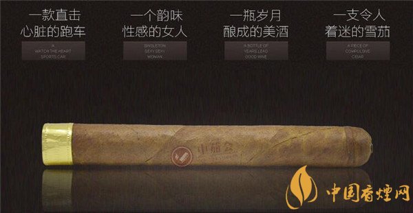 大衛(wèi)杜夫雪茄(金裝名士)價(jià)格表圖 大衛(wèi)杜夫金裝名士雪茄多少錢