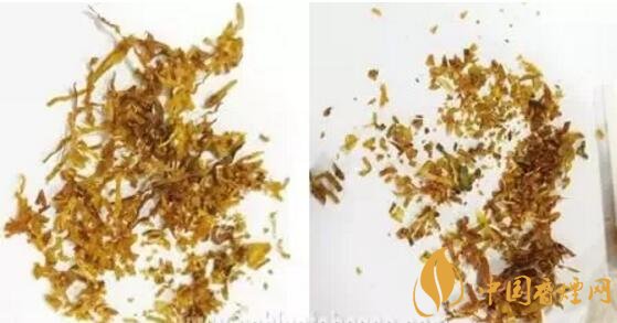 冬蟲夏草（和潤）真假鑒別，春節(jié)防止被騙