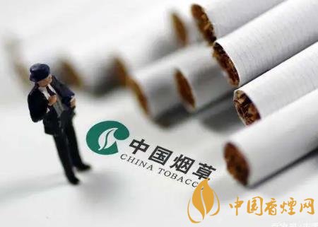 2020將通過提稅和漲價(jià)來控?zé)?維護(hù)公共場(chǎng)所健康！