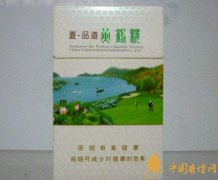 黃鶴樓最受歡迎的香煙推薦 好抽的5款黃鶴樓介紹